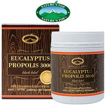 호주 네이쳐스탑 유칼립투스 프로폴리스 3000mg 365캡슐, 단품, 1개, 365정