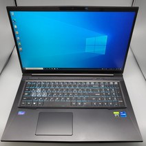 한성 17인치 i7-11800H TFG7175W 신품급 중고노트북, WIN10 Home, 16GB, 500GB, 코어i7, 블랙
