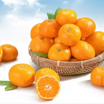 다사모농장 저농약 제주감귤 10kg-15kg 소과/중과/로얄과, 제주 감귤 10KG (2S) 2번과 소과