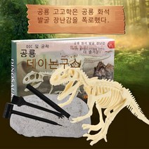 화석공룡 공룡 골조모형 어린이 수공 발굴 고고학 블라인드 상자 장난감 발굴., 악어