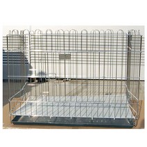 대신 아델라 크롬 사각운동장 (특대-B) 4D-B1