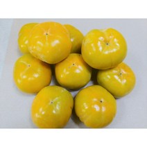 햇창원단감(대과) 3kg, 5kg(20과 내외)