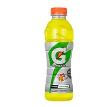 칠성 갈증해소 아미노산 게토레이 레몬 페트 스포츠음료 이온음료 600ML 20개, 1세트