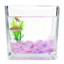 핑크 퍼플 컬러 돌 유리 자갈 250g 어항 꾸미기 구피 dkge@#$, 믹스퍼플돌