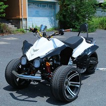 역삼륜오토바이 산악 정비 125cc 소형 전기, 200cc 플래그십 모델