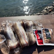 100%자연산 통영 대장어 바다 장어 손질완료 기력보충, 자연산 통영장어  1kg