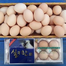 어은서 백봉농장 실키란 백봉 오골계 자연 방사 유정란 HACCP인증 농장직배송, 40구