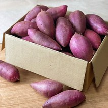 영호네농산물 토울 고구마 베니하루카 꿀고구마, 한입사이즈, 2kg