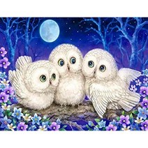 지산 보석십자수 캔버스형 50 x 40 cm DIY 세트, F39 - 부엉이 삼형제