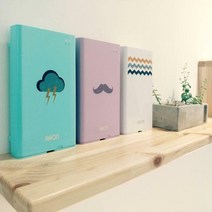 라온 DIY UV-C LED 스마트폰 마스크살균기 RNS-100ser, 민트, 1개