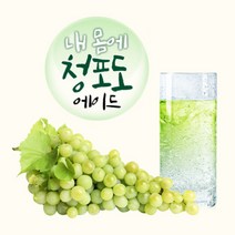 청포도에이드 과일 농축액 베이스, 3box(120스틱)