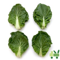 사라상회 쌈추 4Kg