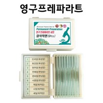 영구프레파라트-암석박편(9pcs)
