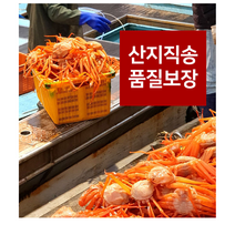대게찜 포항 죽도시장 구룡포 붉은대게 홍게 제철 당일조업 산지직송 자숙 육수용 프리미엄, 가정용 3kg (10~13마리), 1개