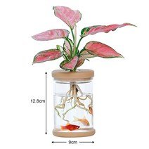 수경 재배기 귀농 재배 분무 다육이 투명 화분 모조 유리 흙 없는 심기 potted 꽃, l