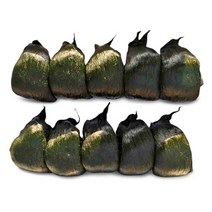 웰메이드 남해안 고흥 원조 찰매생이(생물) 박스, 10입(생물), 350g~400g