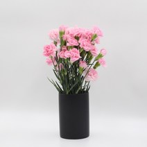 미니 카네이션 (스프레이) 모음 꽃정기구독 생화택배 (고속터미널꽃시장 직배송) 꽃예꽃, 진핑크, 비슷한 느낌의 꽃으로 변경(다른꽃or다른색), 금~일요일 구매시 (화요일 도착)