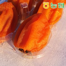 [농협] 자연건조 장성 대봉 반건시 곶감, 특상품 40입, 1개