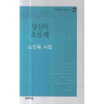 당신이 오실때, 문학의전당, 노진욱 저