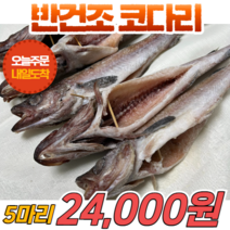 [당일출고] 국내산 반건조 코다리 손질 5마리 반건조생선 HACCP 인증, 5개