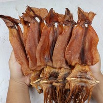 국내산 배오징어 말린오징어 건오징어 쫄쫄이오징어 3미 5미 10미