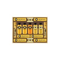 LG 엘지 23년 추석선물세트 프로폴리스 A호