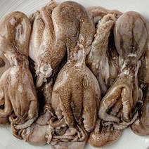 새벽조업당일발송 서해안 활주꾸미 쭈꾸미 쭈꾸미볶음 샤브샤브쭈꾸미, 활 주꾸미 3kg