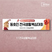 엠블루06 스포츠 배구 테니스 댄스스포츠 발레 요가 골프 피겨스케이트 복싱 폴댄스 축구 생활체육 동호회 회원모집 대회 행사 현수막, 17_전국생활복싱대회