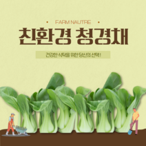 [팜네이처] 건강하고 깨끗한 친환경 청경채 100g /300g, 300g