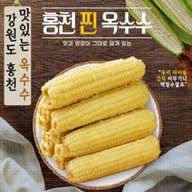 강원도 산지직송 맛있는 홍천 미백 찰 찐 삶은 옥수수 10개 20개 30개 찰옥수수 아이간식 디저트 소울푸드, 강원도 국산 냉동 찐 옥수수 20개