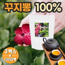 구찌뽕차 꾸지뽕열매 꾸찌뽕잎차100% 티백 100개3박스 여성 40대 50대 60대 남성 국내산 암나무 산 약초 꾸지뽕100% 차 구지뽕나무 중년