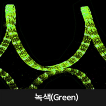 LED 원형 논네온 50M, 녹색