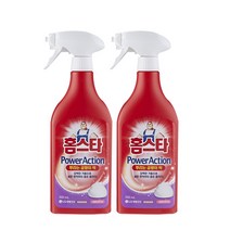 홈스타 파워액션 뿌리는 곰팡이 싹 500ml, 2개