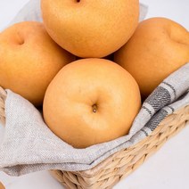[산지직송] 나주배 가정용 선물용 3kg 5kg 15kg, 나주배 5kg : 대과(5~9과)