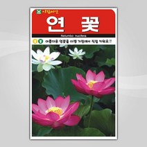 슬로시 꽃 씨앗 모음 꽃씨 허브 허브씨, 연꽃10립(아람)