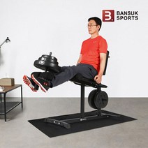 [반석스포츠] 비스펙 레그익스텐션(단품) /무릎운동/다리운동