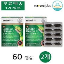 내츄럴플러스 징코 오메가 3 쓰리 직장인 부모님 중장년 청소년 학생 60캡슐 2개