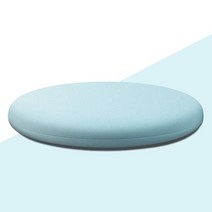 메모리폼 원형 방석 카페