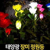 신성나라 태양광 꽃 정원등 LED 조화 꽃조명 화단 정원 베란다 꾸미기 야외등 유채꽃 핑크뮬리 잔디정원등, 05.태양광장미정원등, 레드