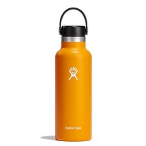 Hydro Flask 스탠다드 마우스 플렉스 캡 보틀 스테인리스 스틸 진공 단열 BPA 프리 논톡시156358, 18 Oz, Starfish