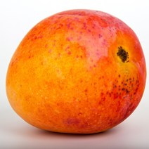과일 (특등급) 오늘출고 망고1KG 망고 열대과일 생망고 망고가격 망고보관법 망고선물세트 필리핀망고 망고먹는법 [WBB8EB7], 쿠팡 1KG, 쿠팡 본상품선택