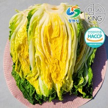 [창원몰] 다경 HACCP 강원도 고랭지 절임배추 10kg, 단품