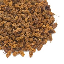 상심자 중국산 500g 열매 뽕나무 오디, 1개