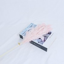 대형 화분 큰팜파스 잔디 말린 꽃 푹신한 자연 홈 보헤미안 장식 국가 웨딩, 06 F_02 10pcs