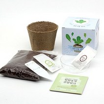 틔움세상 화분재배키트 팜팜농장시리즈 모종 키우기_5899EA, 강낭콩