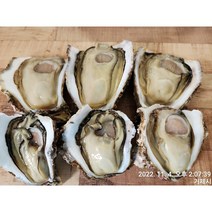 거제해녀가 채취한 바위굴 하프 3kg