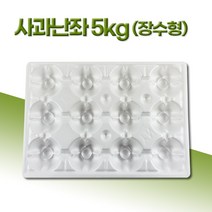(주)영농 사과난좌 5kg 장수형 7과부터 22과 50개 과일포장 과일선물 과일선물세트, 장수형 21과