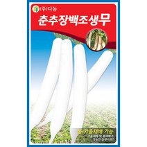 밀크티쓸 흰무니 엉겅퀴 2g - 씨 씨앗 밀크씨슬 엉겅퀴씨앗 나물 나물씨앗 채소씨 채소씨앗 흰무니엉겅퀴, 09_다농_춘추장백조생무(10g)