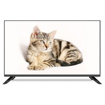 살루스 SAL320HD, 81cm 32 TV