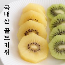 [골드키위가격] [특등급선별]골드키위 2.5kg 레드키위 키위효능 골드키위효능 제스프리골드키위 키위주스 제주레드키위 골든키위 제주골드키위 제주키위 제스프리그린키위 뉴질랜드키위 제주도키위 키위가격